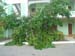 DSC02440