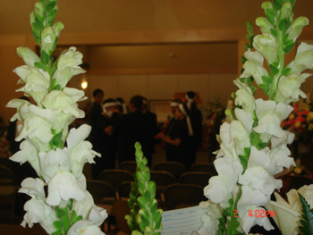 DSC02205